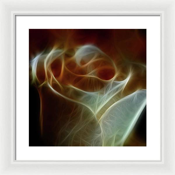 Cream and Amber Rose - Framed Print