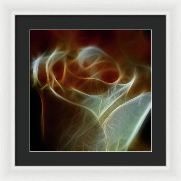 Cream and Amber Rose - Framed Print