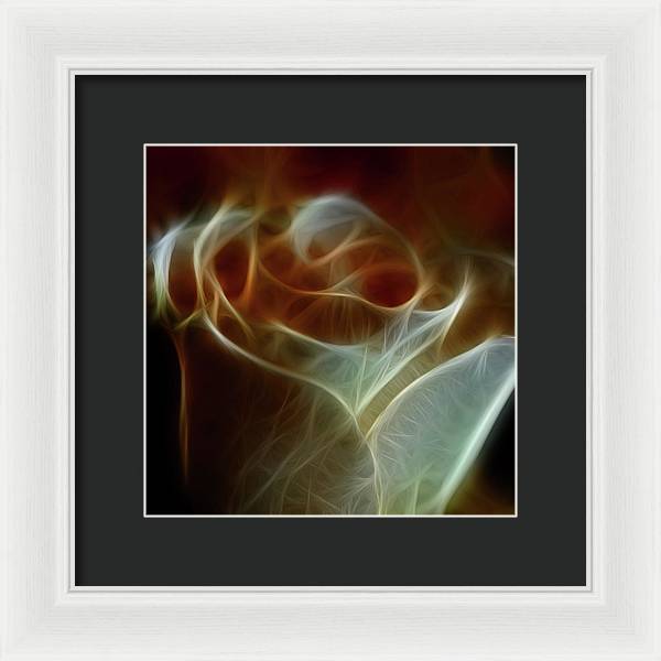 Cream and Amber Rose - Framed Print