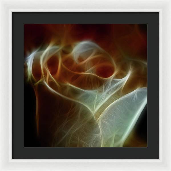 Cream and Amber Rose - Framed Print