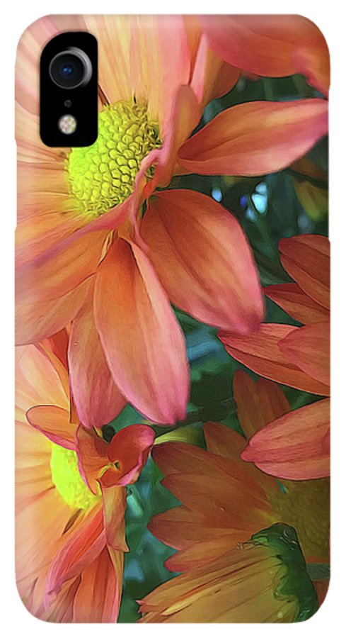 Cream and Pink Daisies Close Up - Phone Case