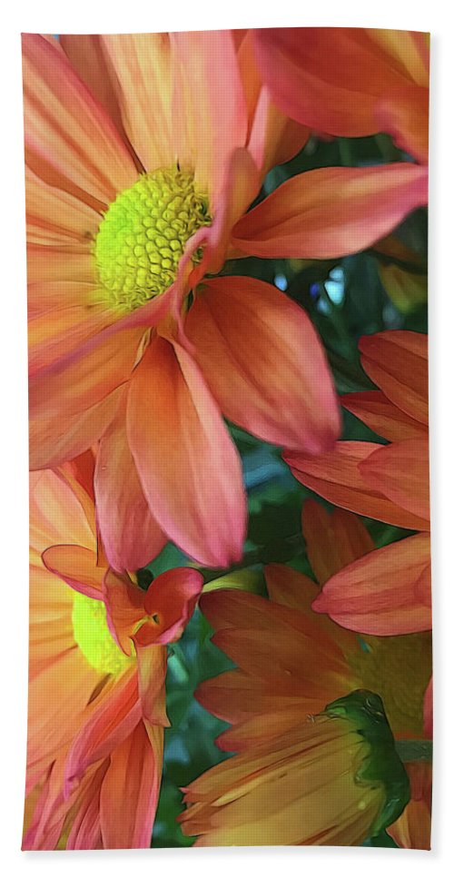 Cream and Pink Daisies Close Up - Bath Towel