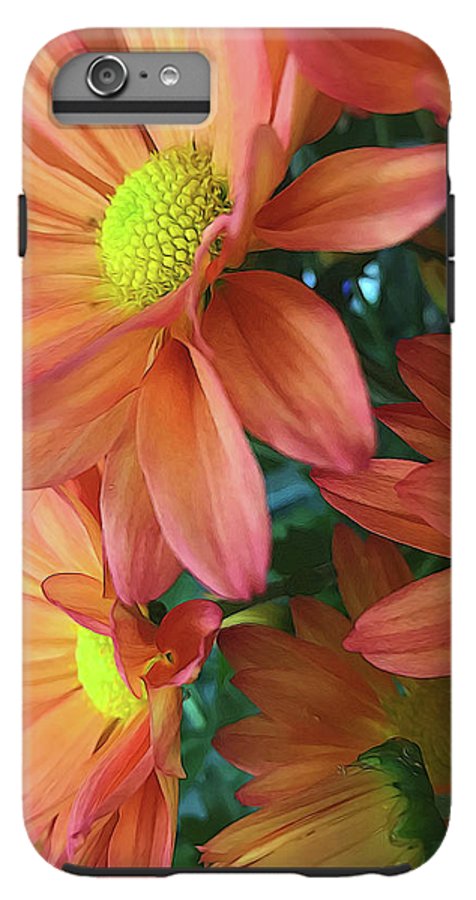 Cream and Pink Daisies Close Up - Phone Case