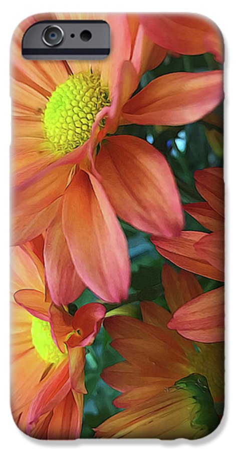 Cream and Pink Daisies Close Up - Phone Case