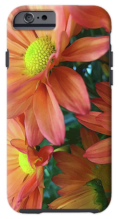 Cream and Pink Daisies Close Up - Phone Case