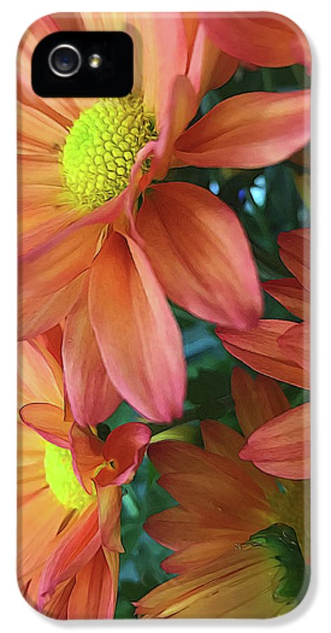 Cream and Pink Daisies Close Up - Phone Case