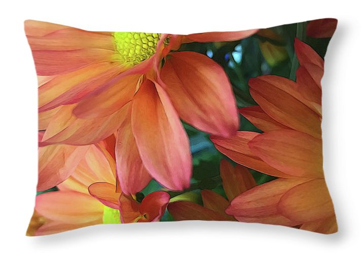 Cream and Pink Daisies Close Up - Throw Pillow
