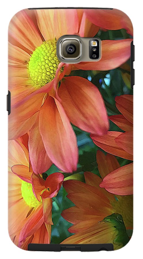 Cream and Pink Daisies Close Up - Phone Case