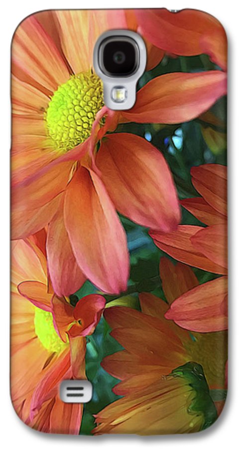 Cream and Pink Daisies Close Up - Phone Case