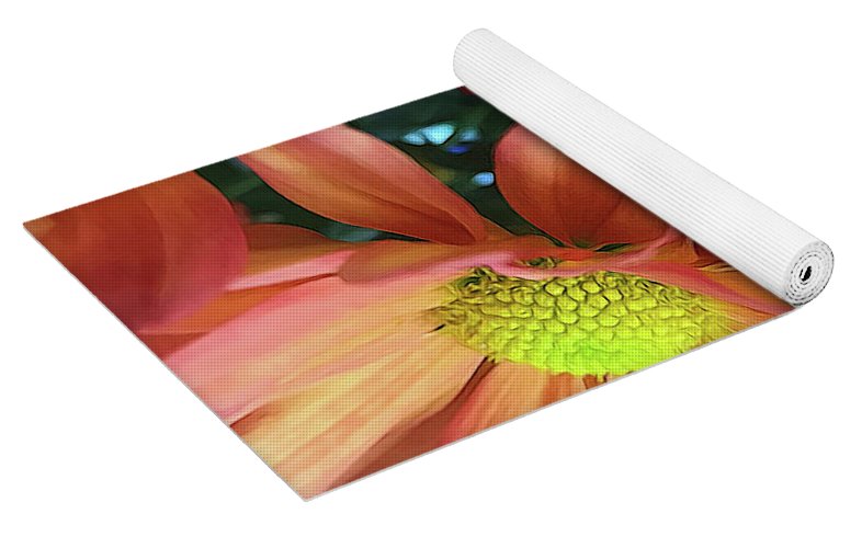 Cream and Pink Daisies Close Up - Yoga Mat