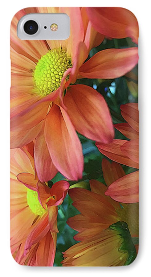 Cream and Pink Daisies Close Up - Phone Case