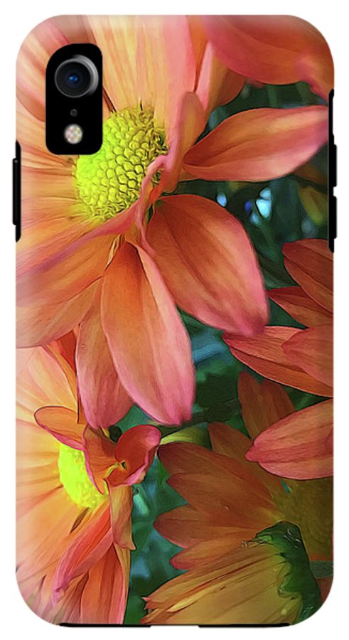 Cream and Pink Daisies Close Up - Phone Case