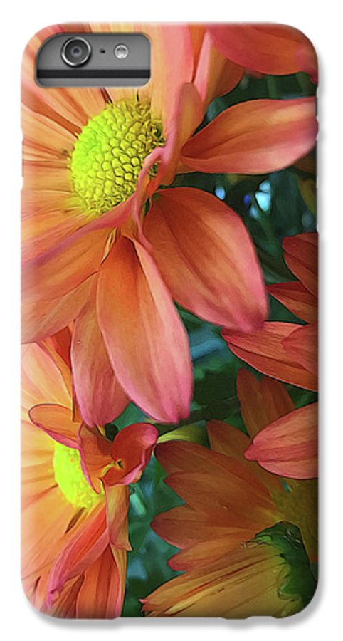 Cream and Pink Daisies Close Up - Phone Case