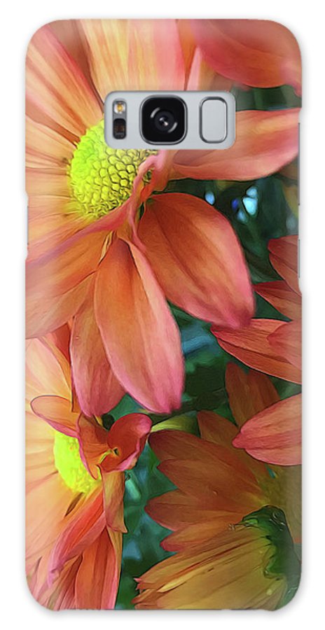 Cream and Pink Daisies Close Up - Phone Case