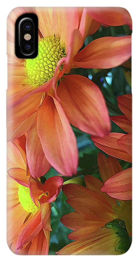 Cream and Pink Daisies Close Up - Phone Case