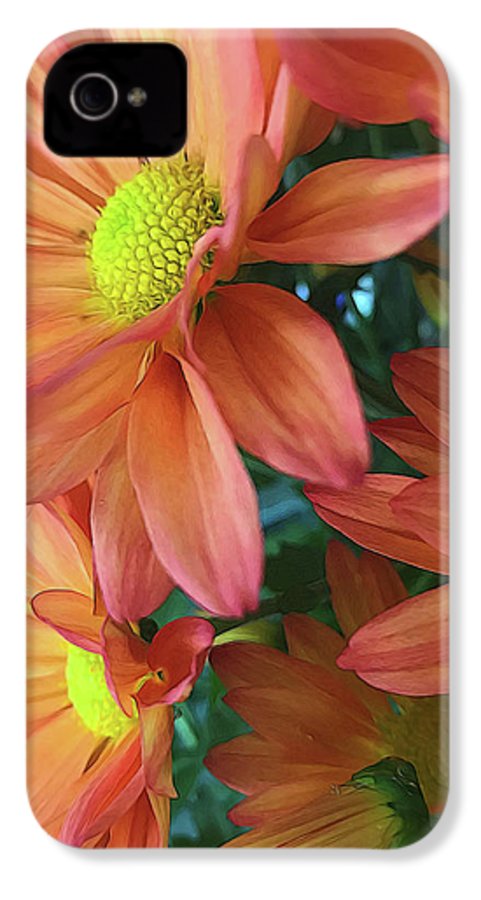 Cream and Pink Daisies Close Up - Phone Case