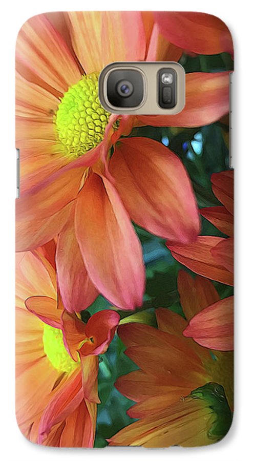 Cream and Pink Daisies Close Up - Phone Case