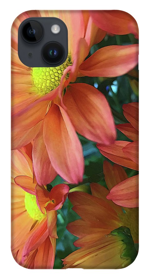 Cream and Pink Daisies Close Up - Phone Case