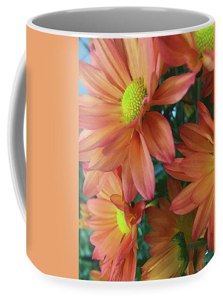 Cream and Pink Daisies Close Up - Mug