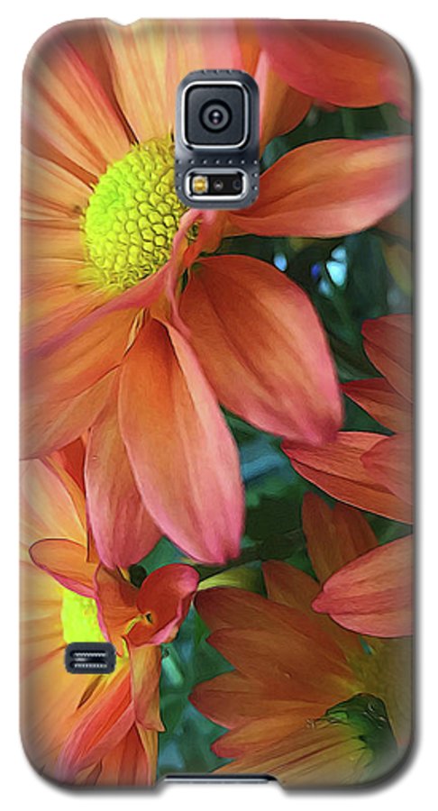 Cream and Pink Daisies Close Up - Phone Case