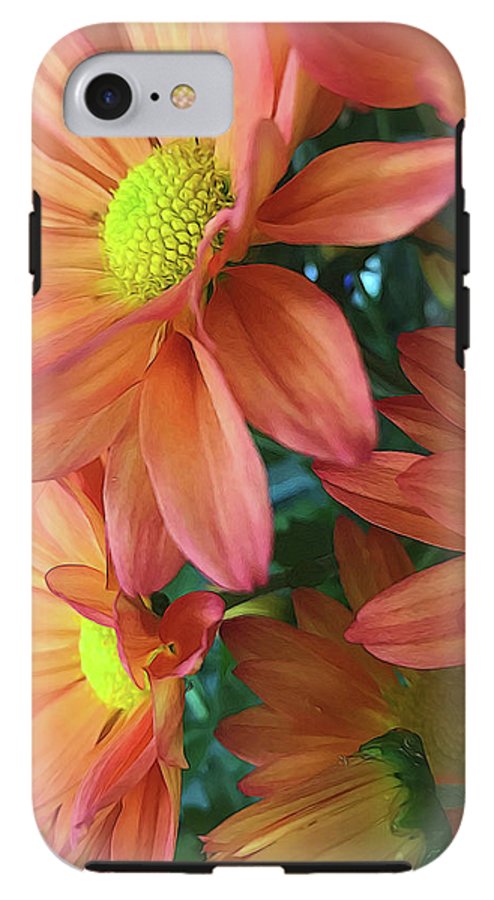 Cream and Pink Daisies Close Up - Phone Case