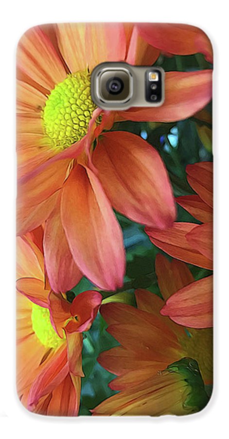 Cream and Pink Daisies Close Up - Phone Case