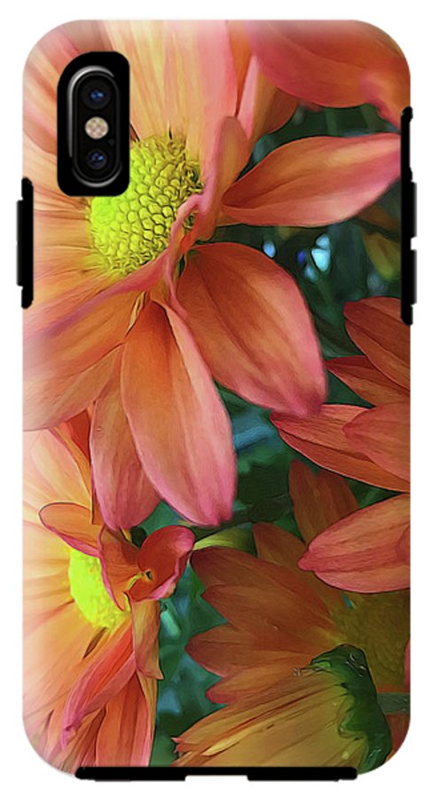 Cream and Pink Daisies Close Up - Phone Case