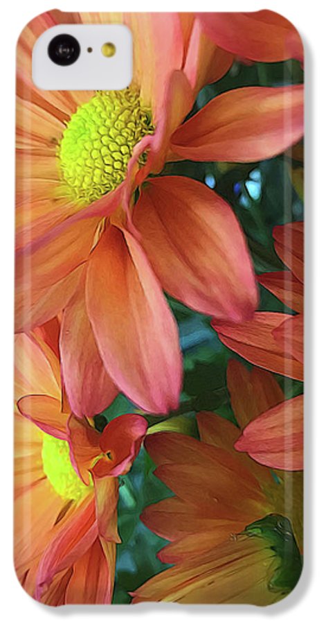 Cream and Pink Daisies Close Up - Phone Case