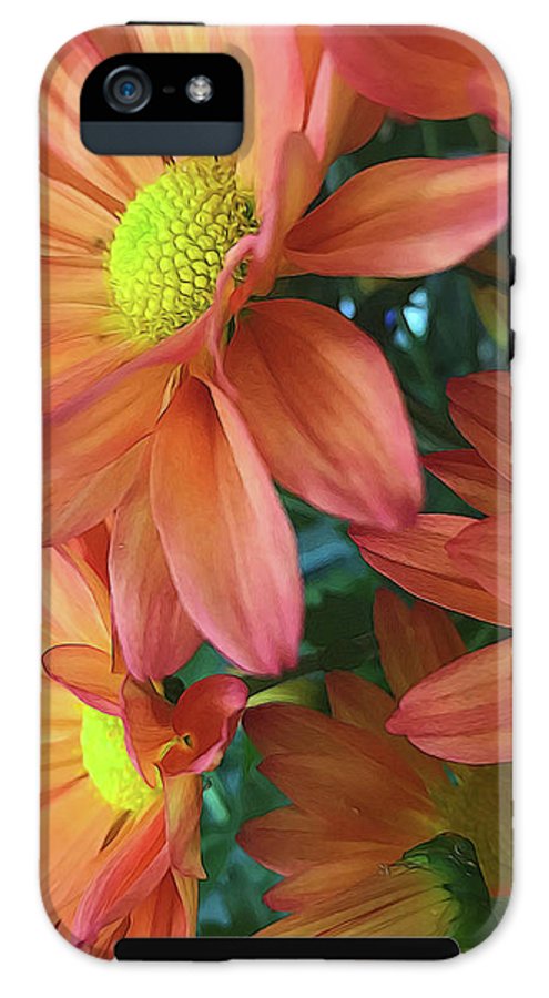 Cream and Pink Daisies Close Up - Phone Case