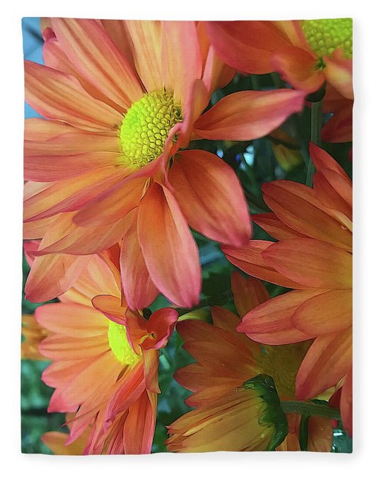 Cream and Pink Daisies Close Up - Blanket