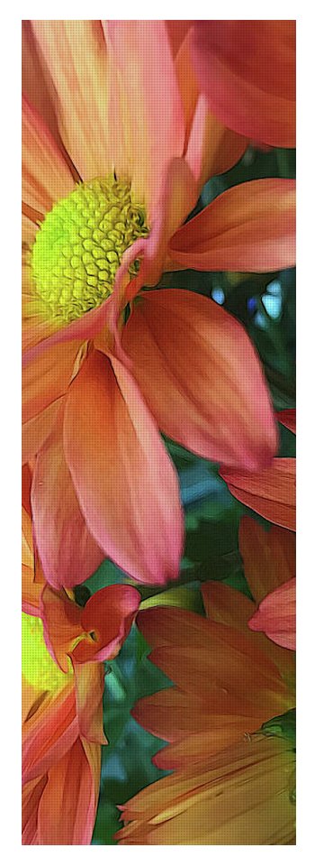 Cream and Pink Daisies Close Up - Yoga Mat