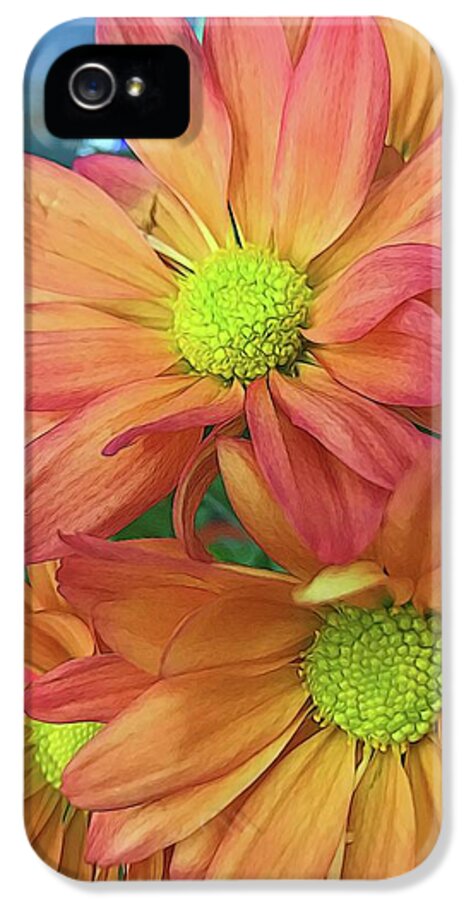 Cream and Pink Flowers Three - Phone Case