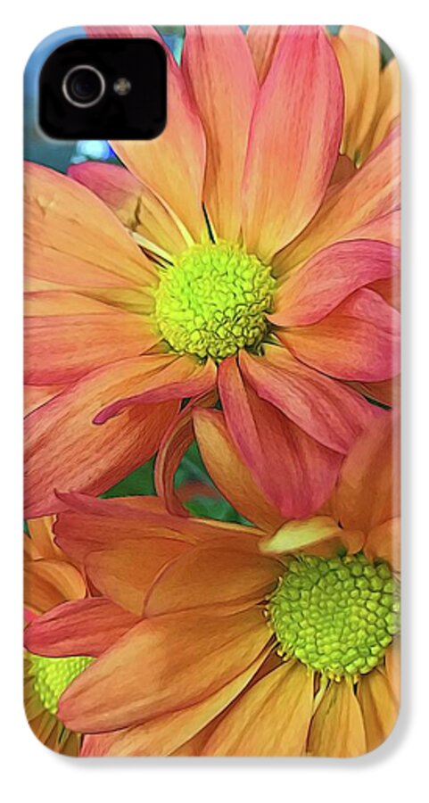 Cream and Pink Flowers Three - Phone Case