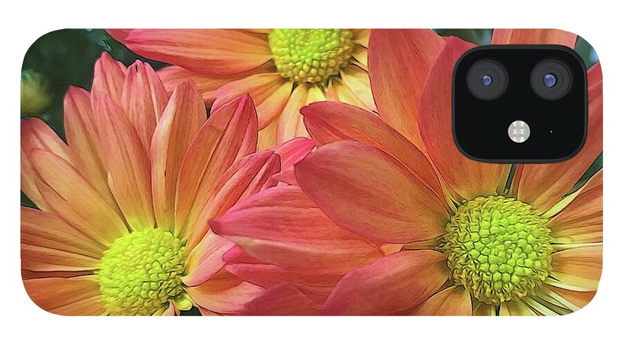 Cream And Pink Three Flower Close Up - Phone Case