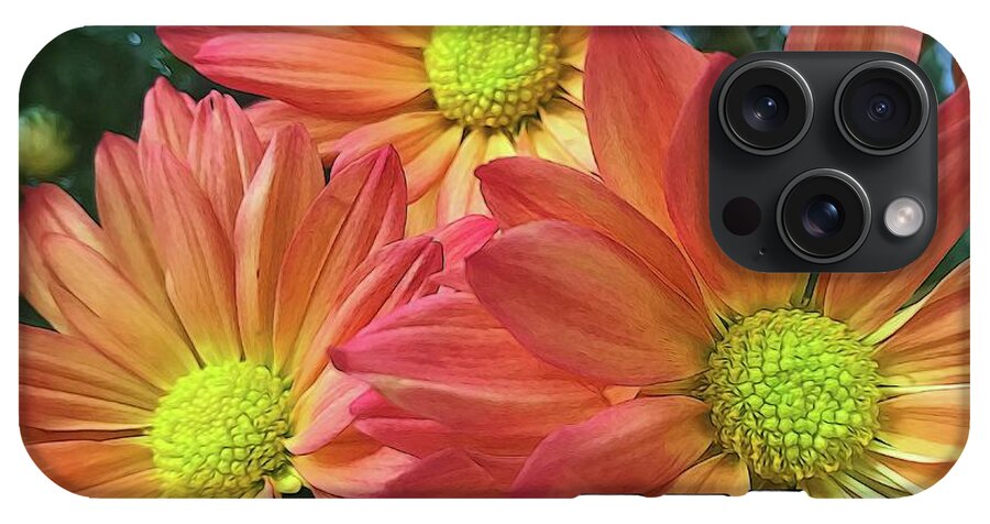 Cream And Pink Three Flower Close Up - Phone Case