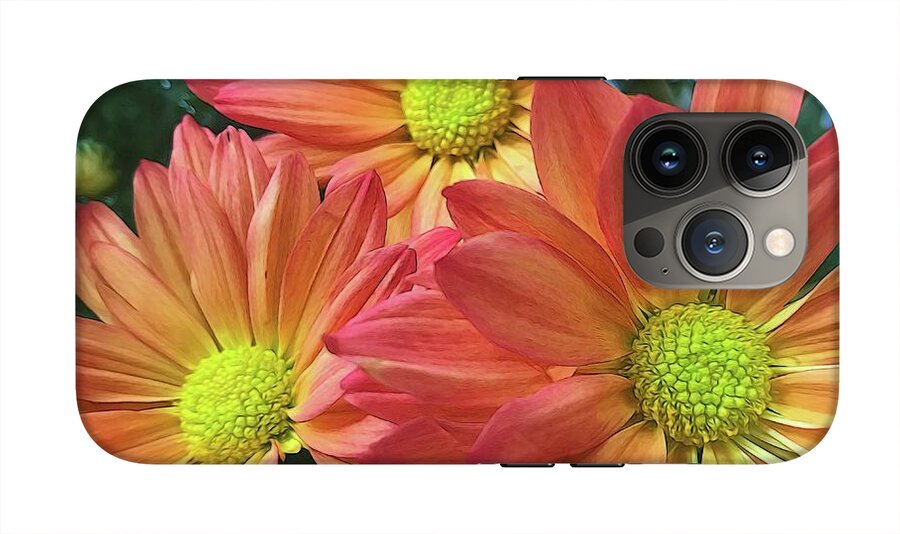 Cream And Pink Three Flower Close Up - Phone Case