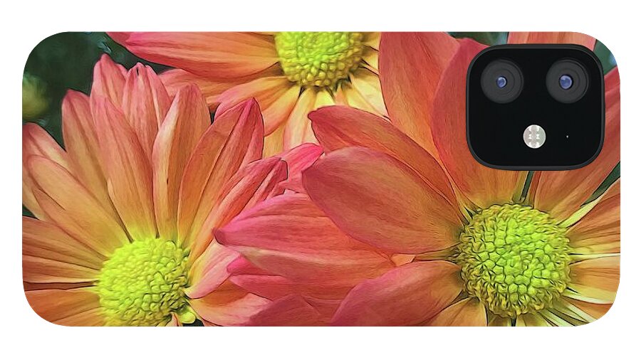 Cream And Pink Three Flower Close Up - Phone Case