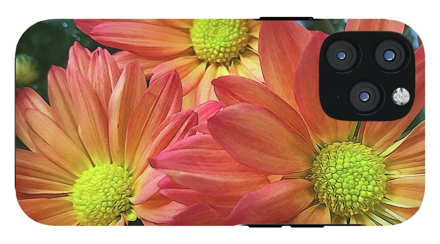 Cream And Pink Three Flower Close Up - Phone Case
