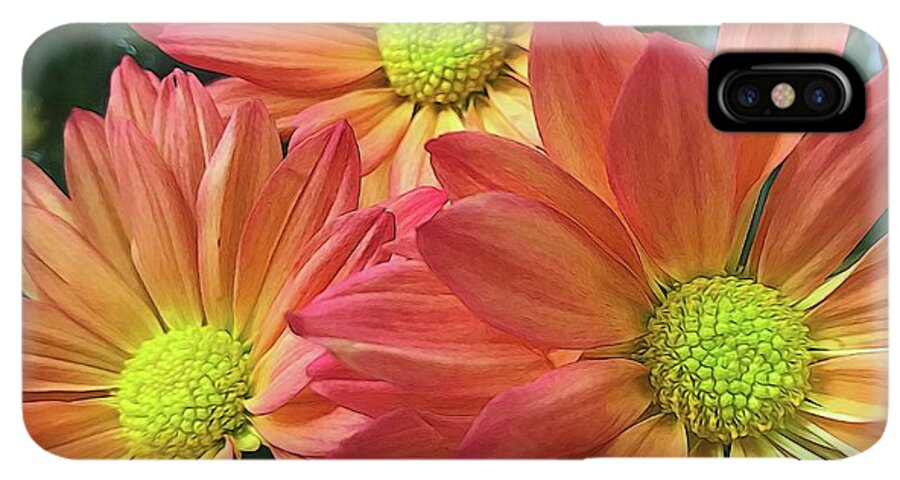 Cream And Pink Three Flower Close Up - Phone Case