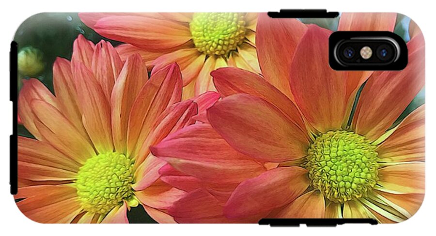Cream And Pink Three Flower Close Up - Phone Case