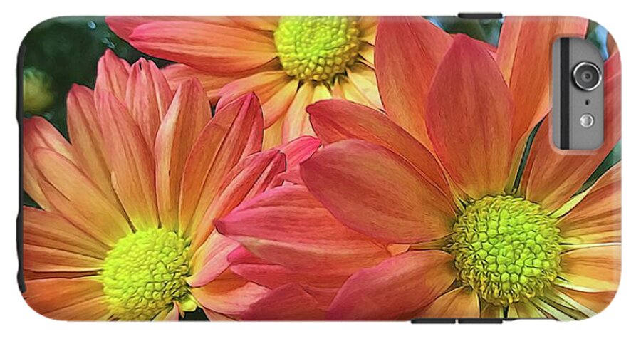 Cream And Pink Three Flower Close Up - Phone Case
