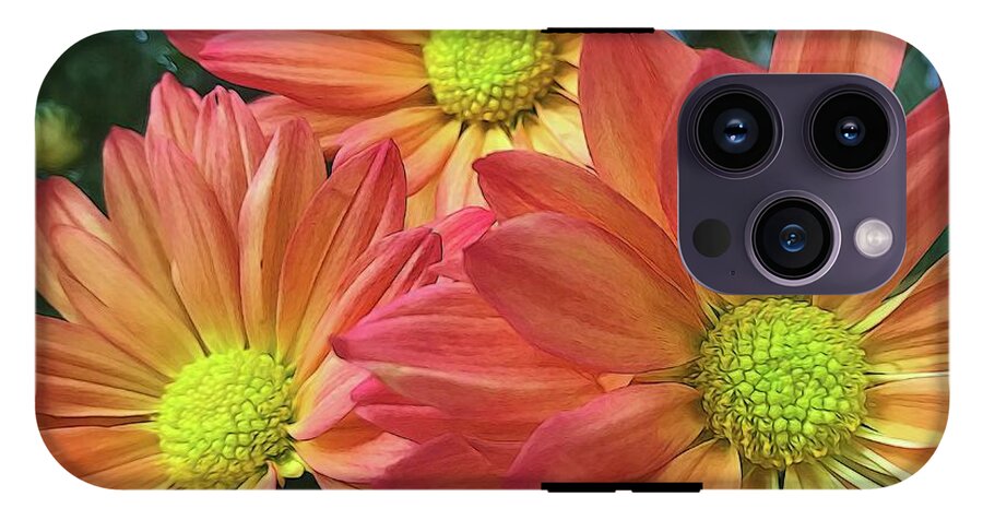 Cream And Pink Three Flower Close Up - Phone Case