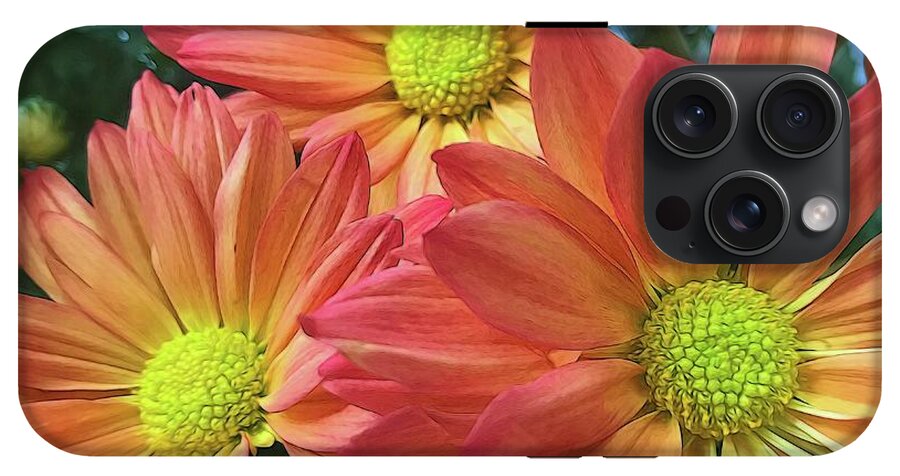 Cream And Pink Three Flower Close Up - Phone Case