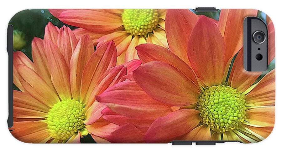 Cream And Pink Three Flower Close Up - Phone Case