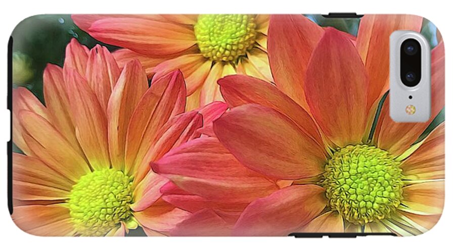 Cream And Pink Three Flower Close Up - Phone Case