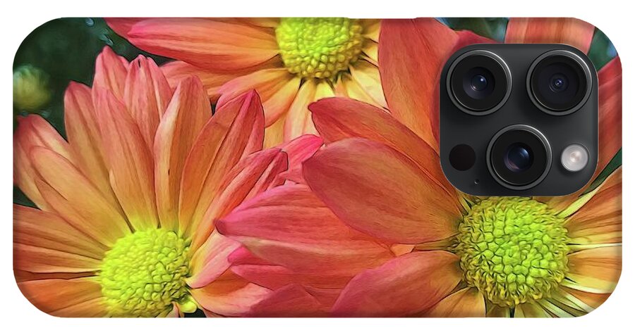 Cream And Pink Three Flower Close Up - Phone Case