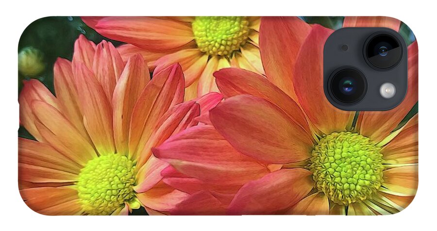 Cream And Pink Three Flower Close Up - Phone Case