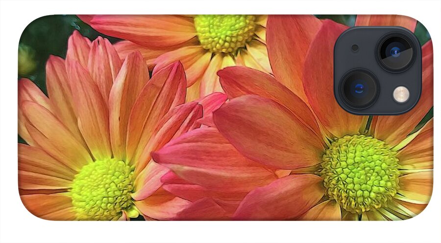 Cream And Pink Three Flower Close Up - Phone Case