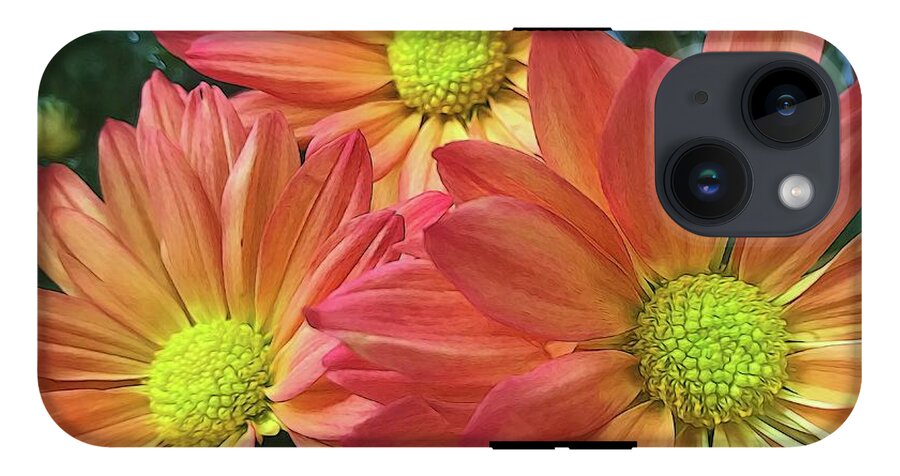 Cream And Pink Three Flower Close Up - Phone Case