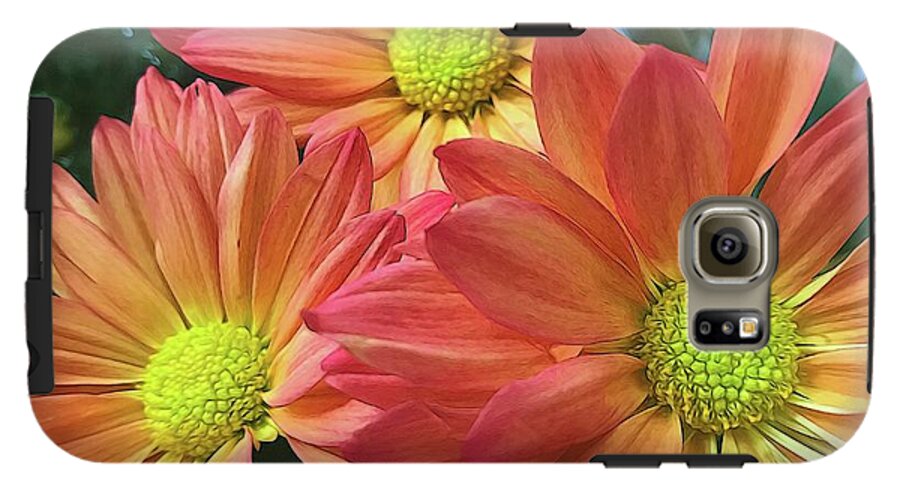 Cream And Pink Three Flower Close Up - Phone Case